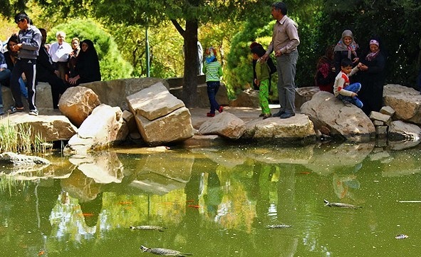 منبع آب باغ ارم شیراز