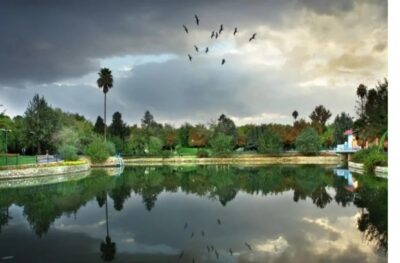 پارک آزادی شیراز 1
